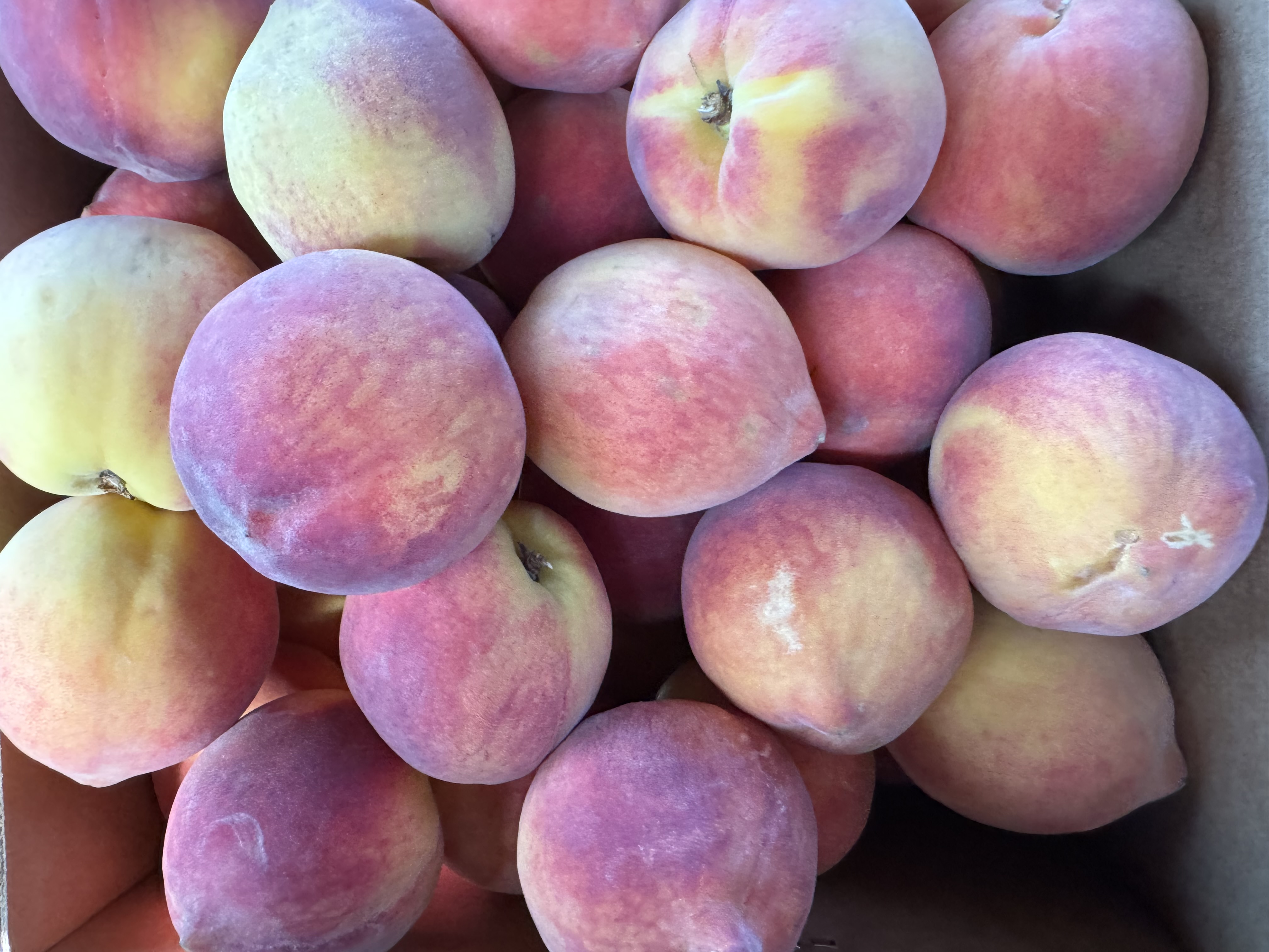 Peaches